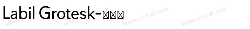 Labil Grotesk字体转换